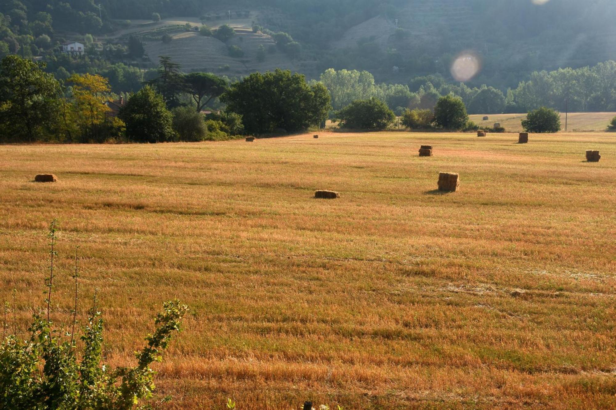Capolona Baciano Azienda Agrituristico Venatoria מראה חיצוני תמונה